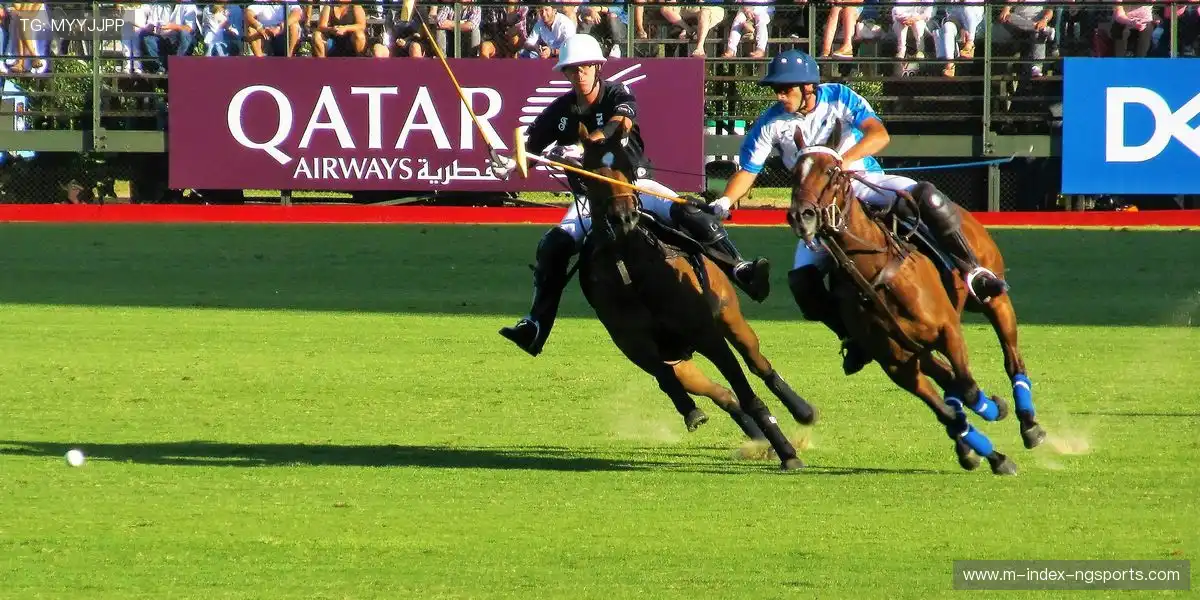 赛事画面清晰展现全部场景